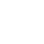 DICE d.o.o. logo