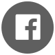 Autor nema link ka facebooku. facebook