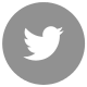 Autor nema link ka twitteru. twitter