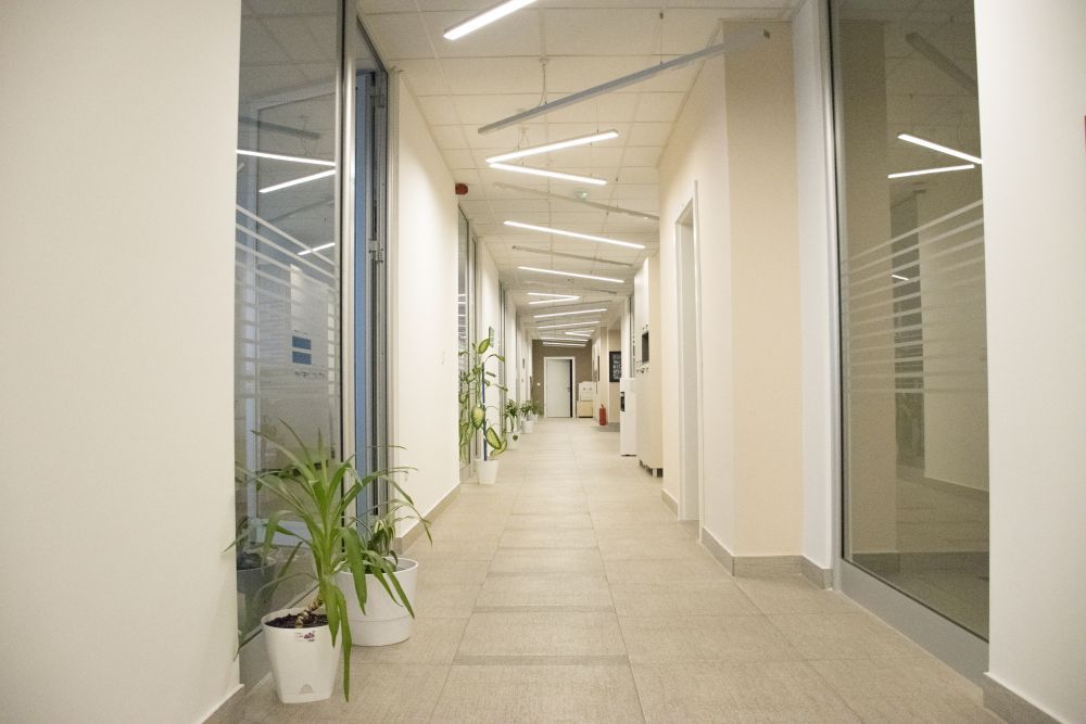 gallery