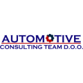 Automotive Consulting Team