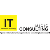 IT Consulting Micić logo