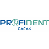 Profident d.o.o logo
