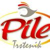 PUTR Pile logo