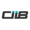 CIIB Digital Service d.o.o. logo