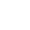 DS IV Development d.o.o. logo
