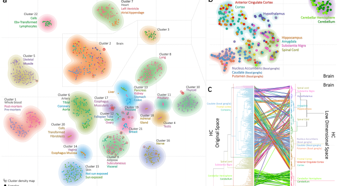 Vizuelizacija visoko-dimenzionih genomskih podataka uz pomoć t-SNE