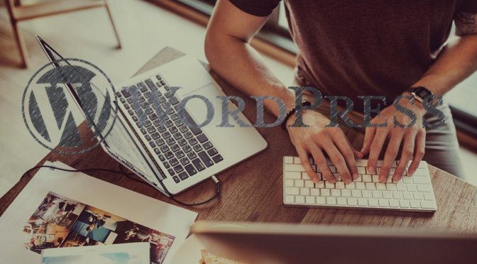 #17 Wordpress meetup
