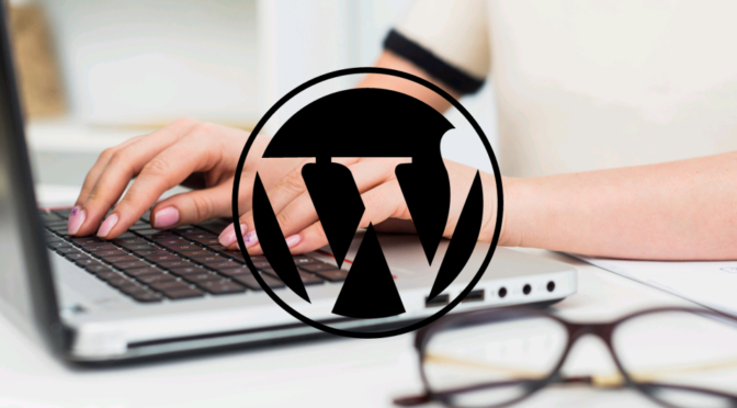 #13 radionica za razvijanje WordPress tema