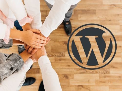 Kako da rešite najčešće WordPress probleme i optimizujete vašu online prodavnicu